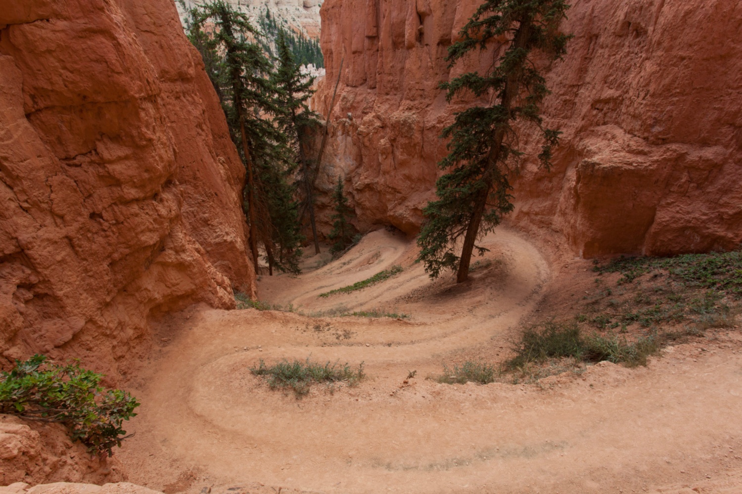 USA_Bryce Canyon_133